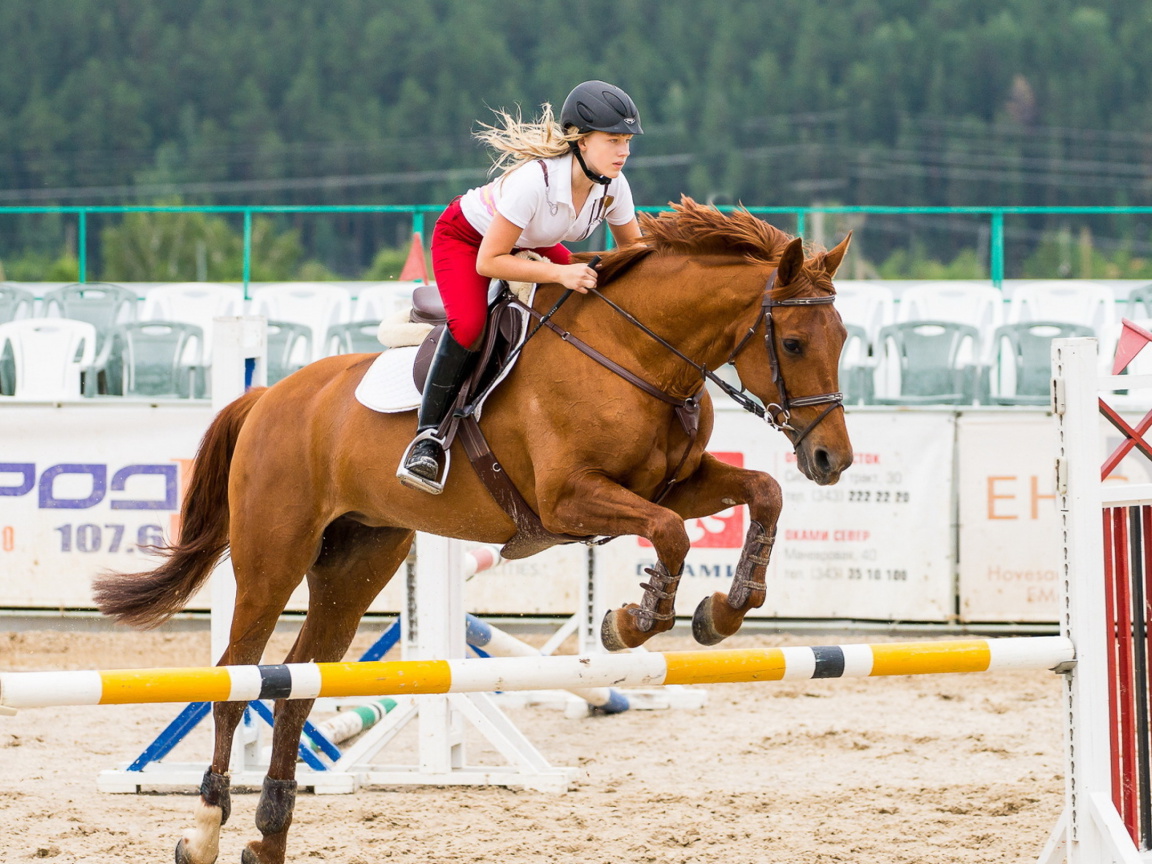 Sfondi Equestrian Sport 1152x864