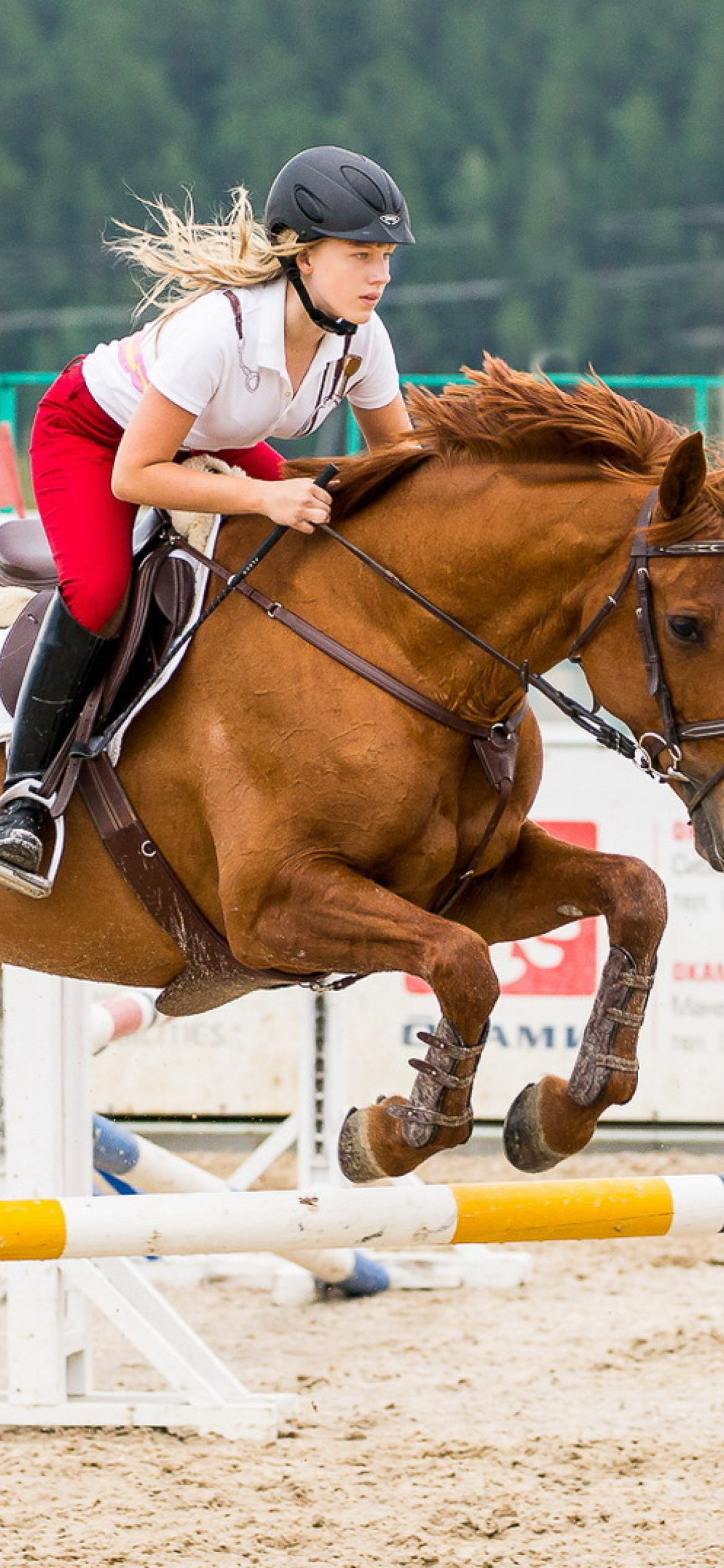 Das Equestrian Sport Wallpaper 1170x2532