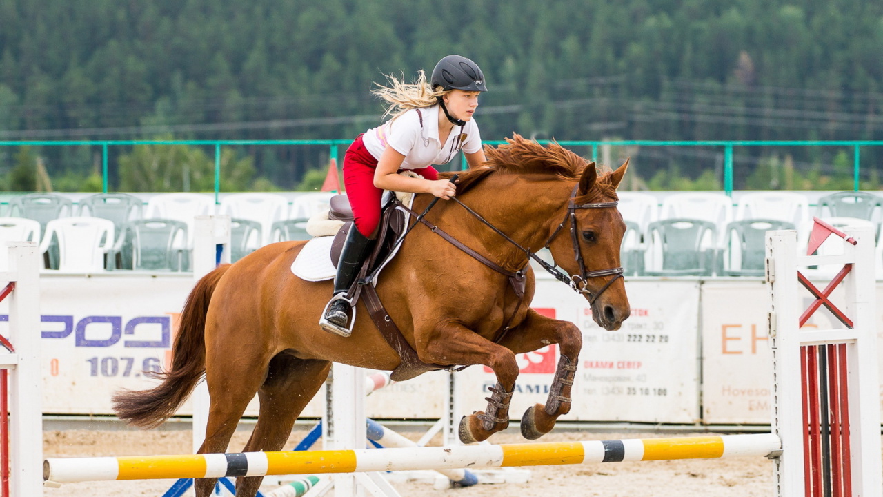 Equestrian Sport wallpaper 1280x720