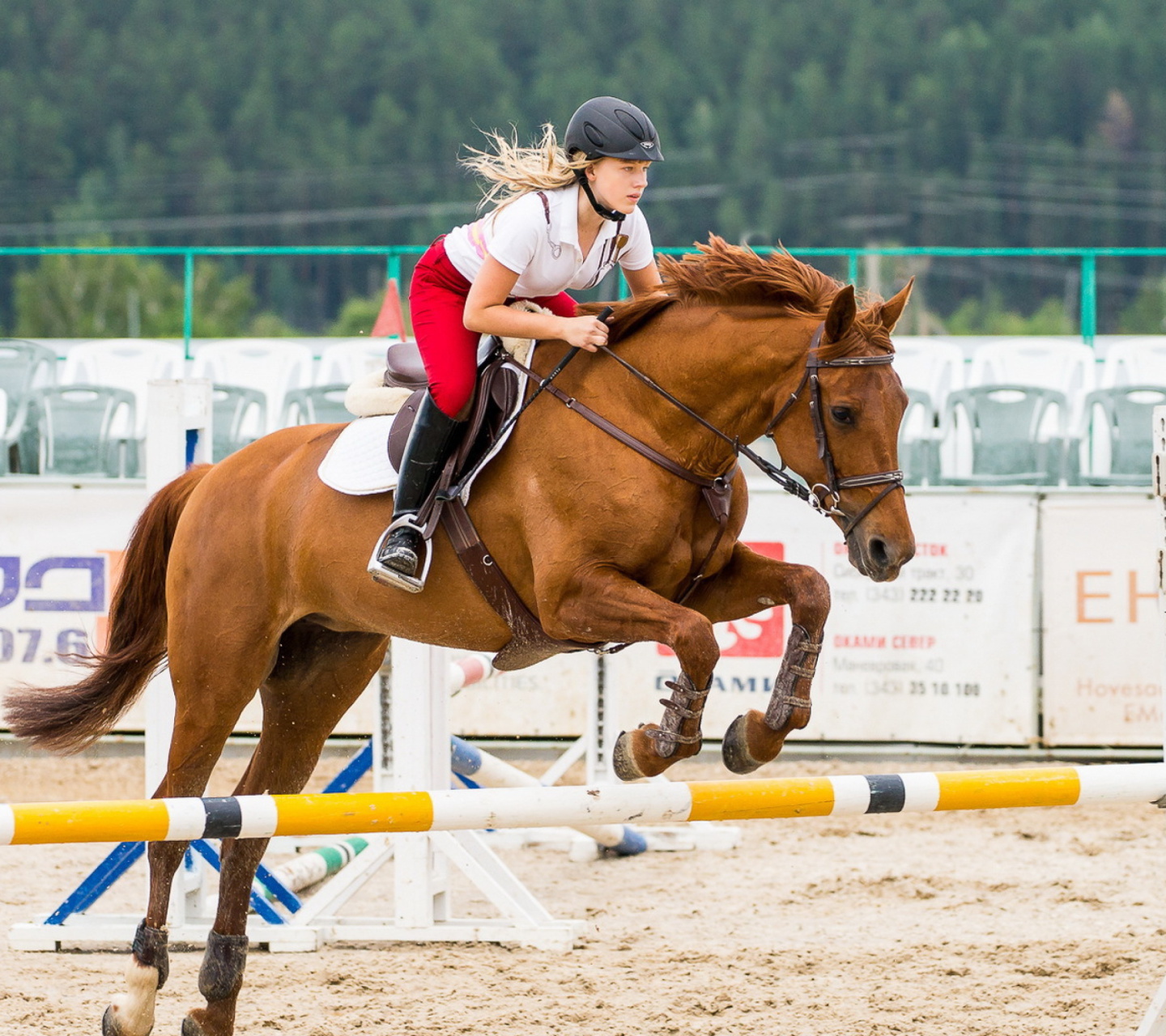 Sfondi Equestrian Sport 1440x1280