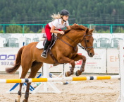 Equestrian Sport wallpaper 176x144