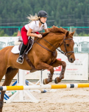 Fondo de pantalla Equestrian Sport 176x220