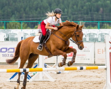 Обои Equestrian Sport 220x176