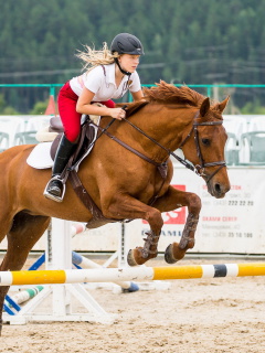 Screenshot №1 pro téma Equestrian Sport 240x320