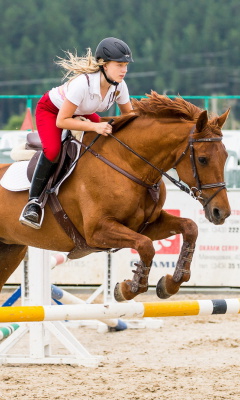 Fondo de pantalla Equestrian Sport 240x400