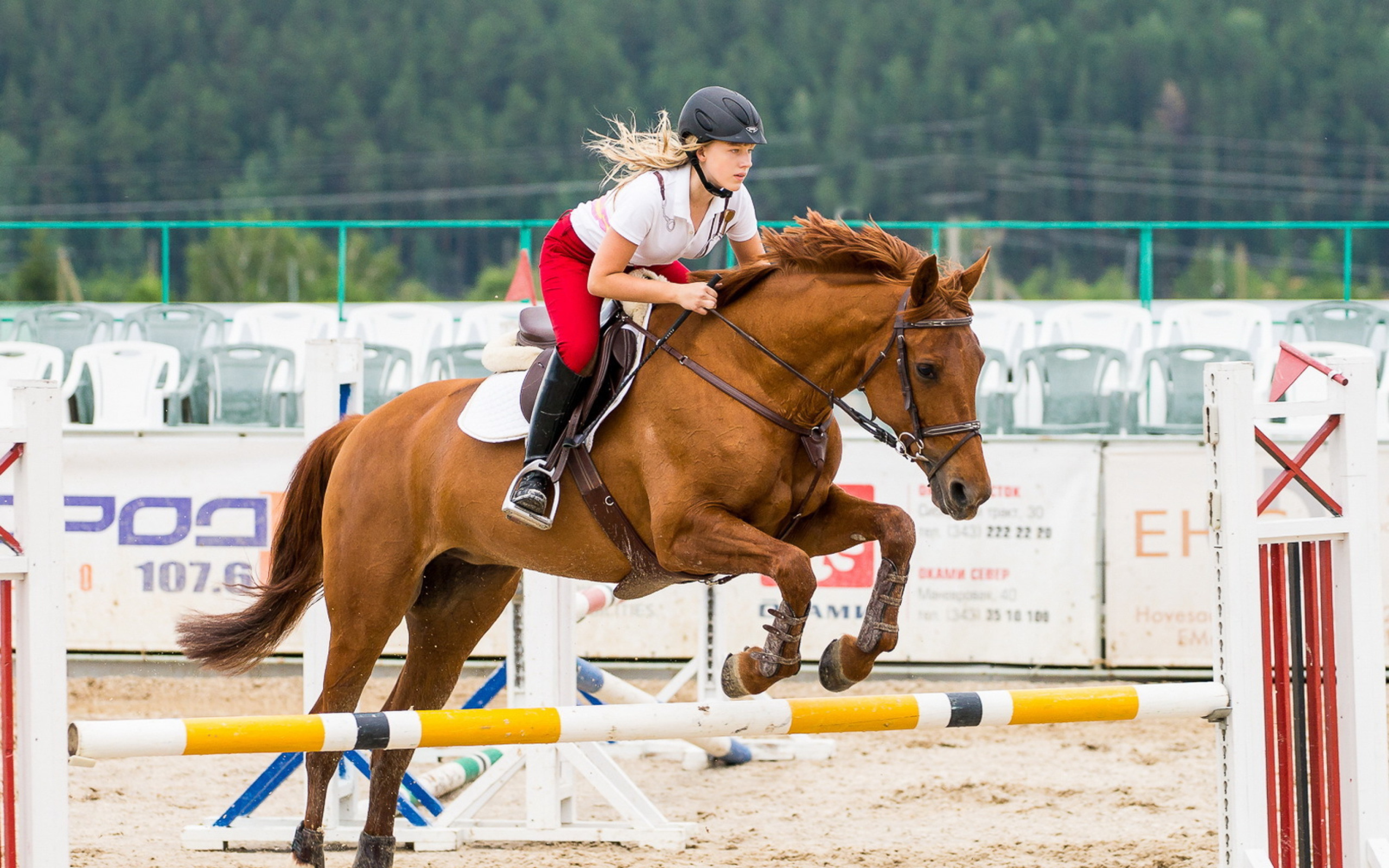 Equestrian Sport wallpaper 2560x1600