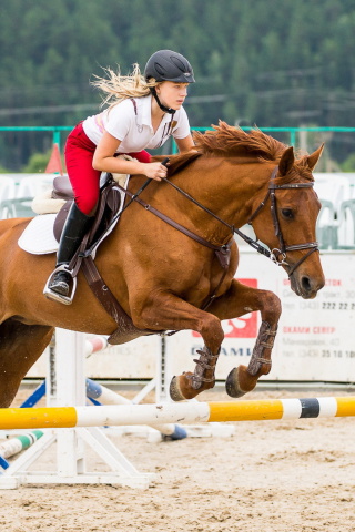 Equestrian Sport wallpaper 320x480