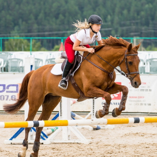Free Equestrian Sport Picture for Nokia 6100