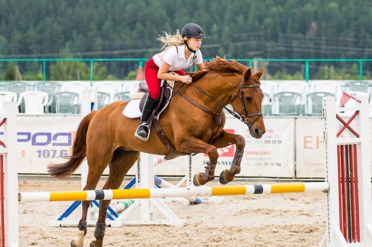 Fondo de pantalla Equestrian Sport
