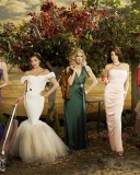 Desperate Housewives wallpaper 128x160