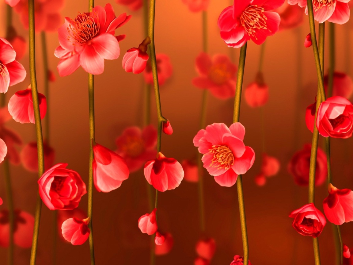 Bright Red Floral HD wallpaper 1152x864