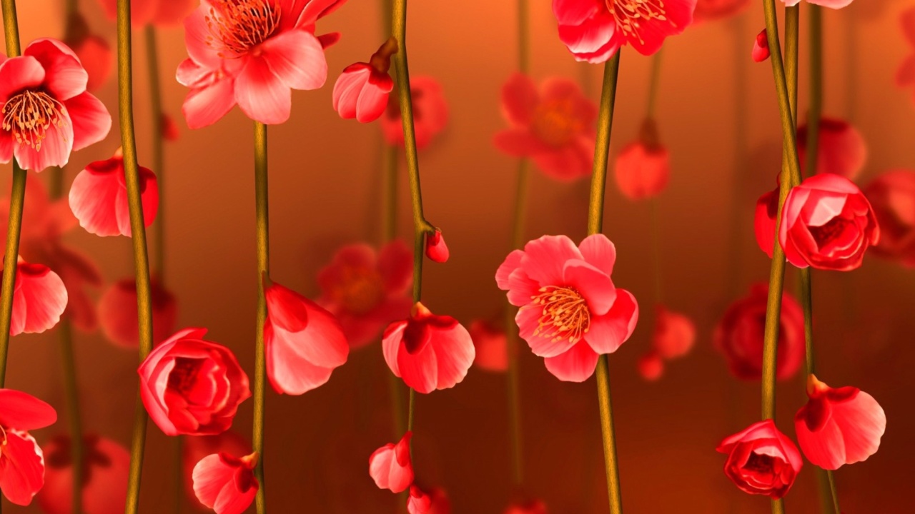 Fondo de pantalla Bright Red Floral HD 1280x720