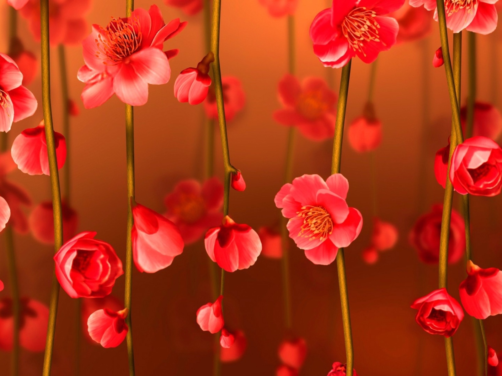 Bright Red Floral HD wallpaper 1600x1200