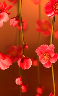 Bright Red Floral HD wallpaper 240x400