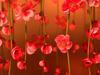 Обои Bright Red Floral HD 320x240