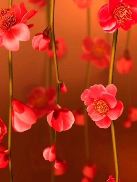 Bright Red Floral HD wallpaper 480x640