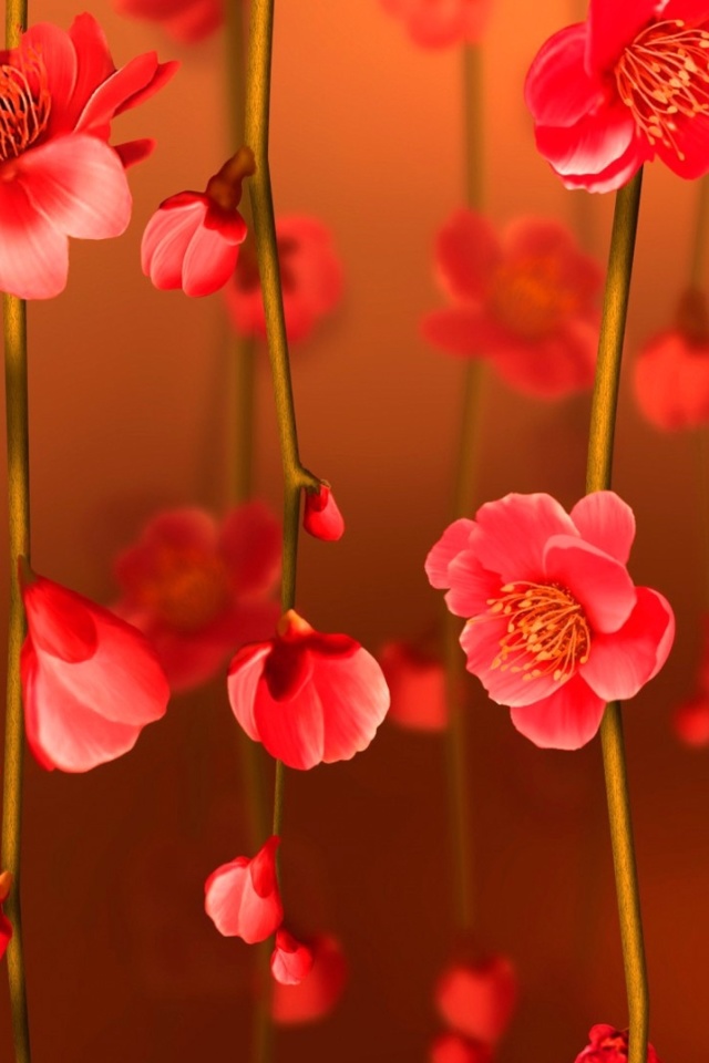 Das Bright Red Floral HD Wallpaper 640x960