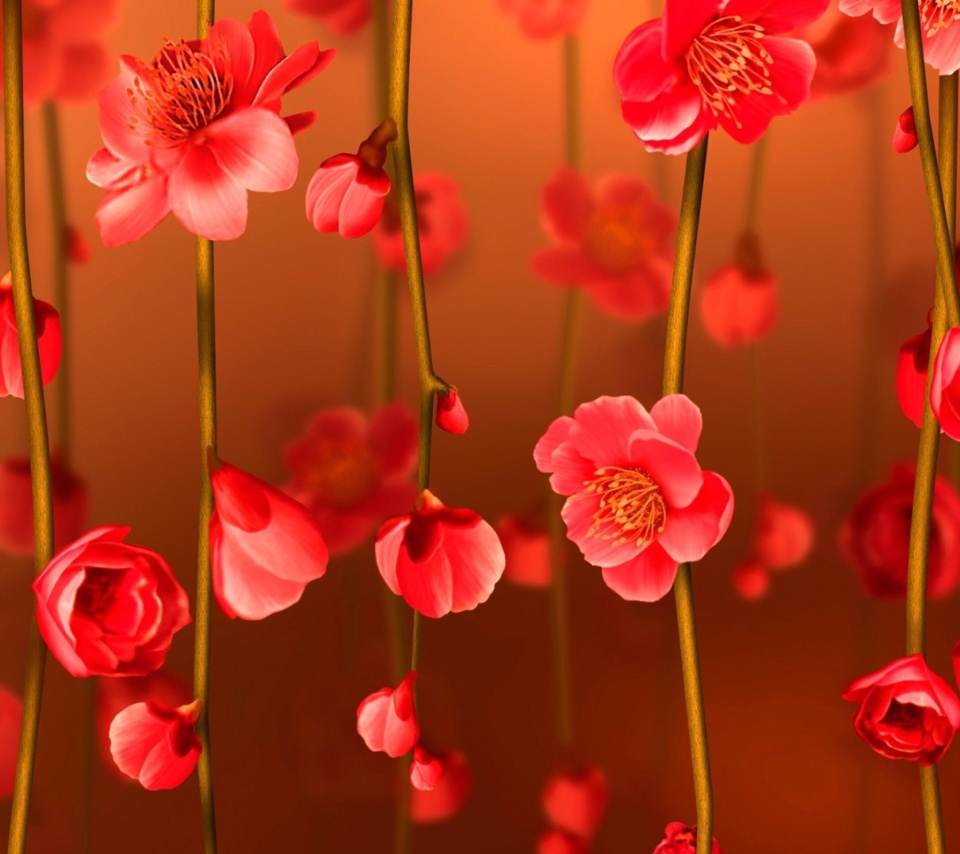 Das Bright Red Floral HD Wallpaper 960x854