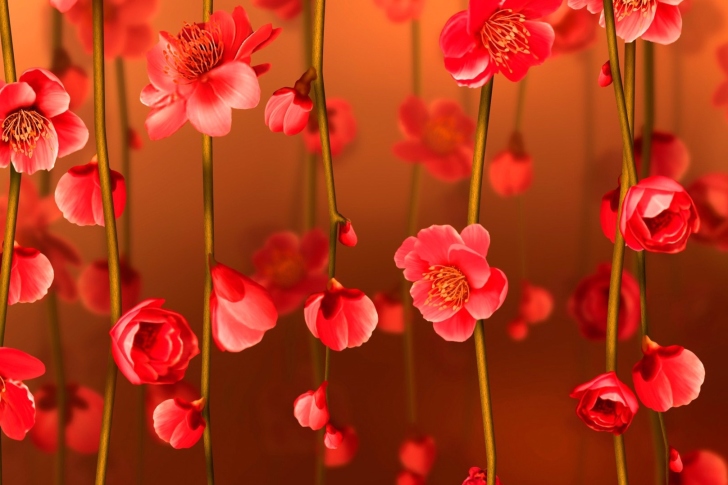 Fondo de pantalla Bright Red Floral HD