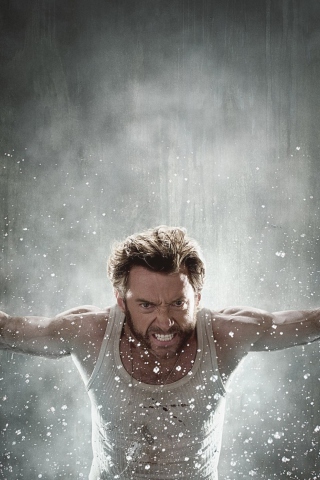 Wolverine screenshot #1 320x480