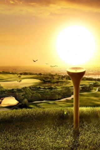 Screenshot №1 pro téma Golfs Obsession 320x480