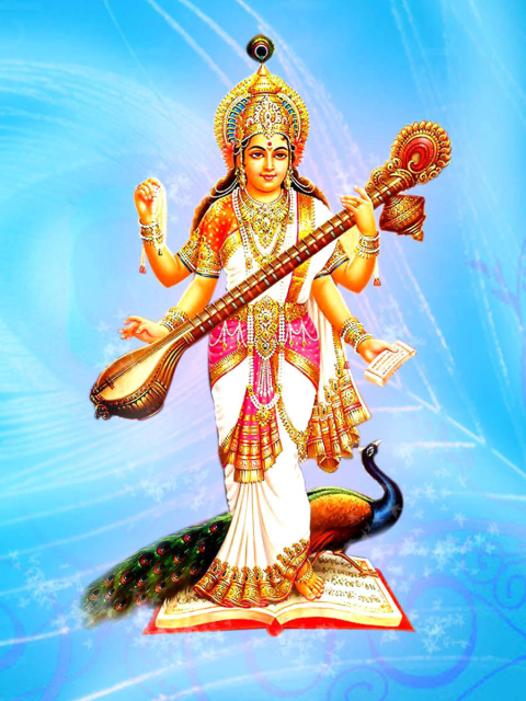 Обои Saraswati Hindu Goddess 480x640