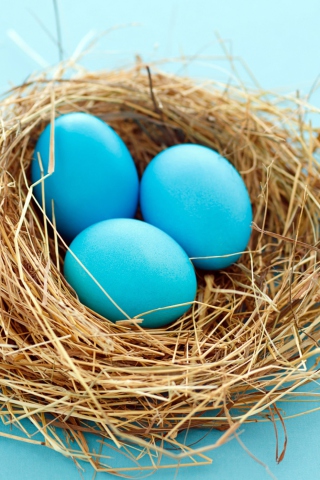 Blue Eggs wallpaper 320x480