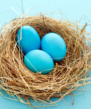 Blue Eggs sfondi gratuiti per iPhone 6 Plus