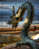 Chained Dragon wallpaper 128x160