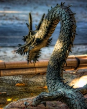 Sfondi Chained Dragon 176x220