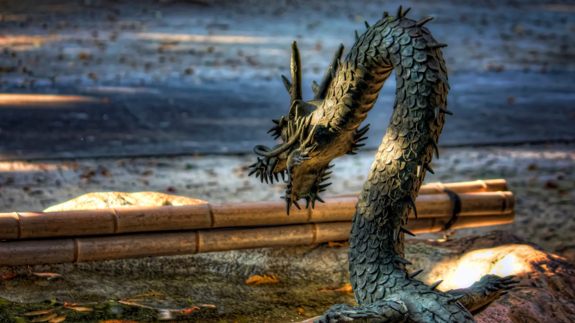 Chained Dragon wallpaper 1920x1080