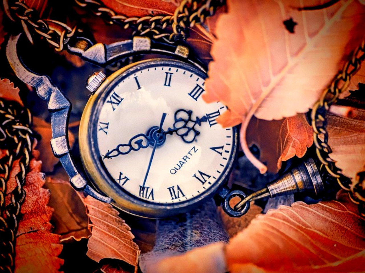 Fondo de pantalla Vintage Watch 1280x960