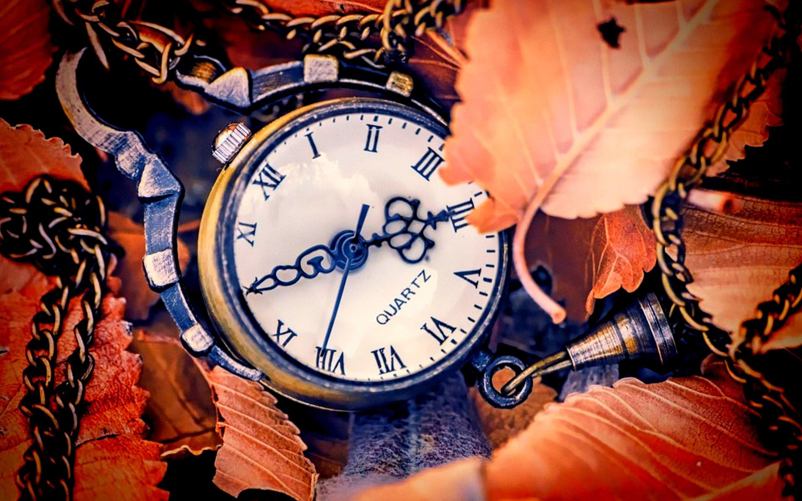 Vintage Watch wallpaper 2560x1600