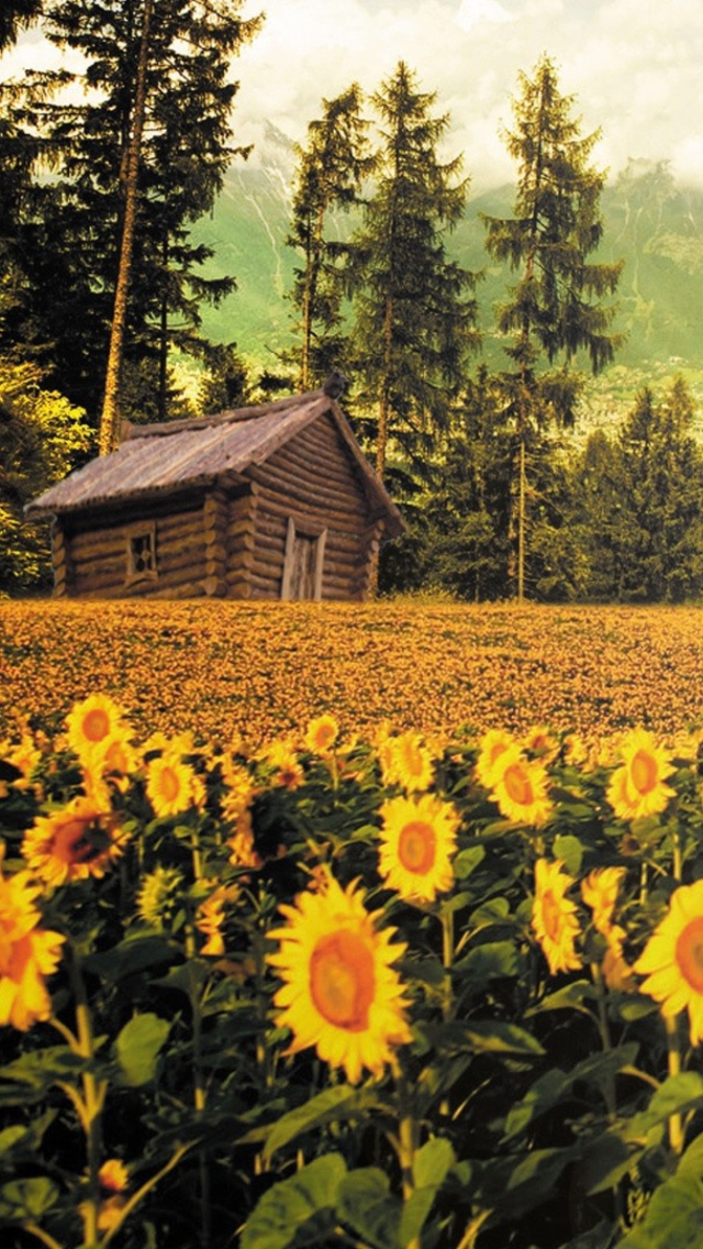 Sfondi Sunflowers And Wooden Hut 640x1136