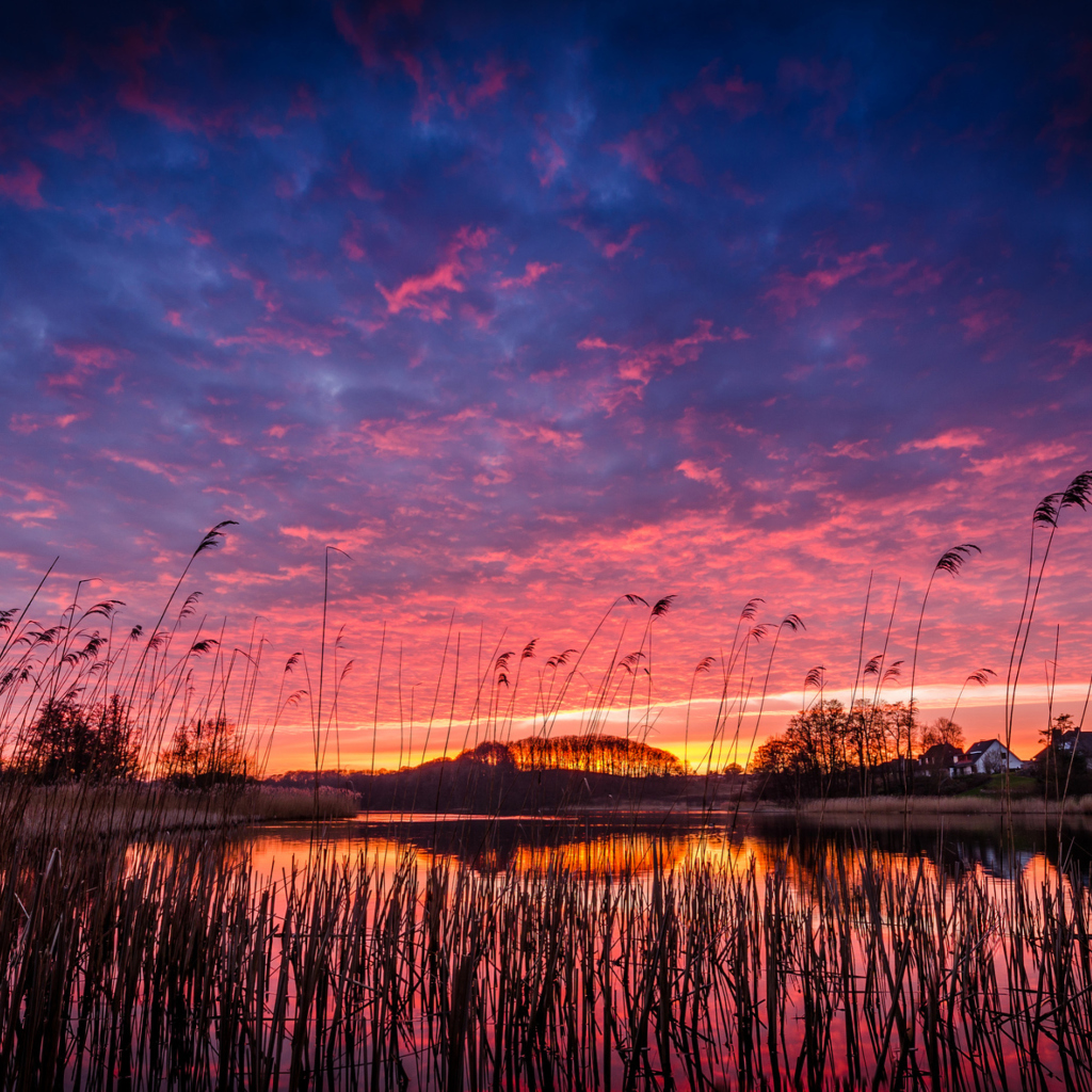 Sfondi Raspberry Sunset 1024x1024