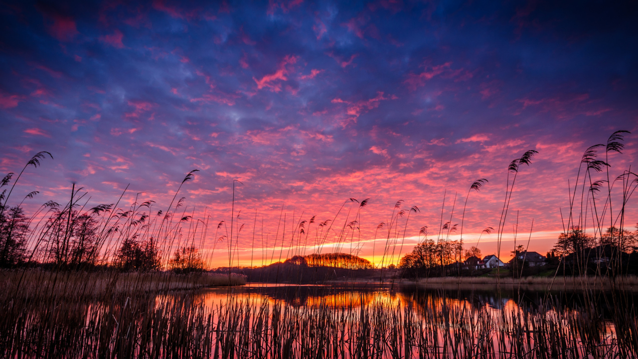 Raspberry Sunset wallpaper 1280x720