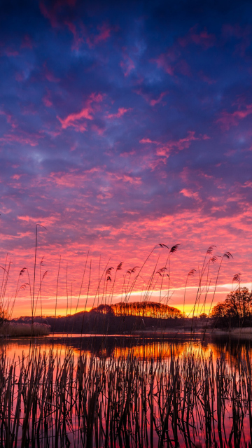 Fondo de pantalla Raspberry Sunset 360x640