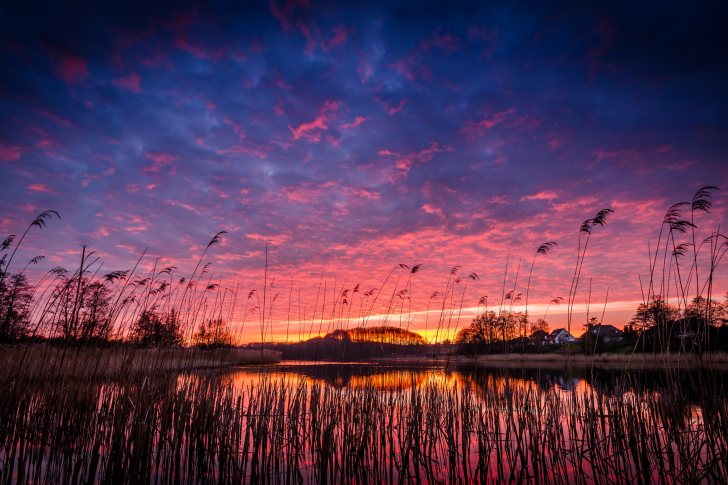 Fondo de pantalla Raspberry Sunset