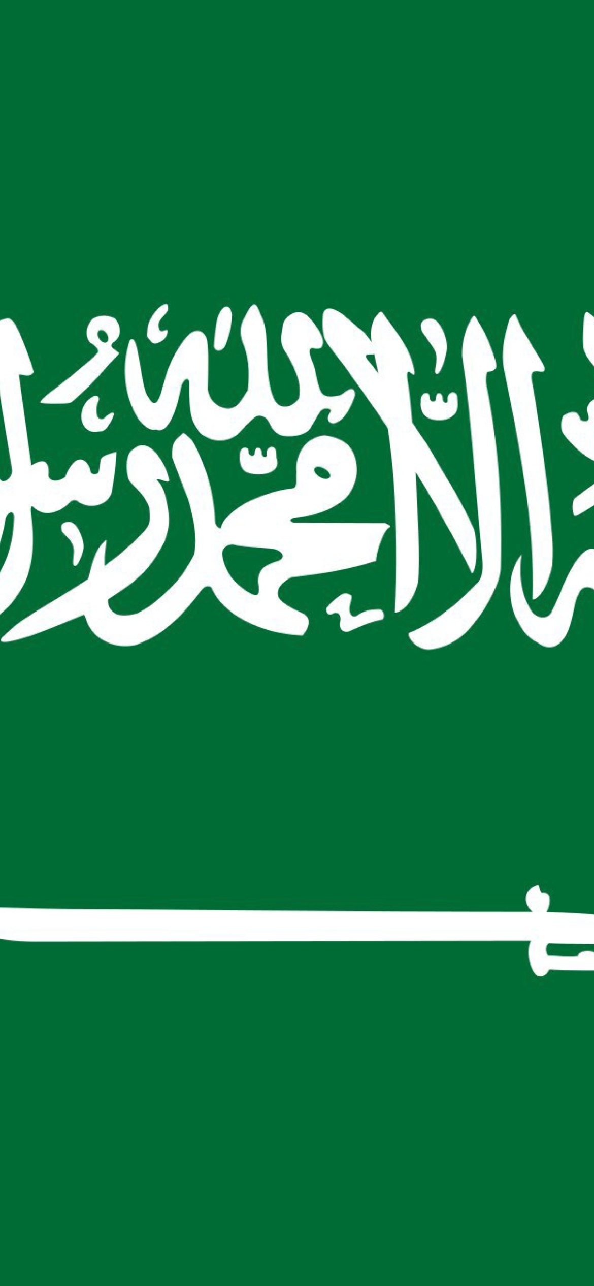 Sfondi Flag Of Saudi Arabia 1170x2532