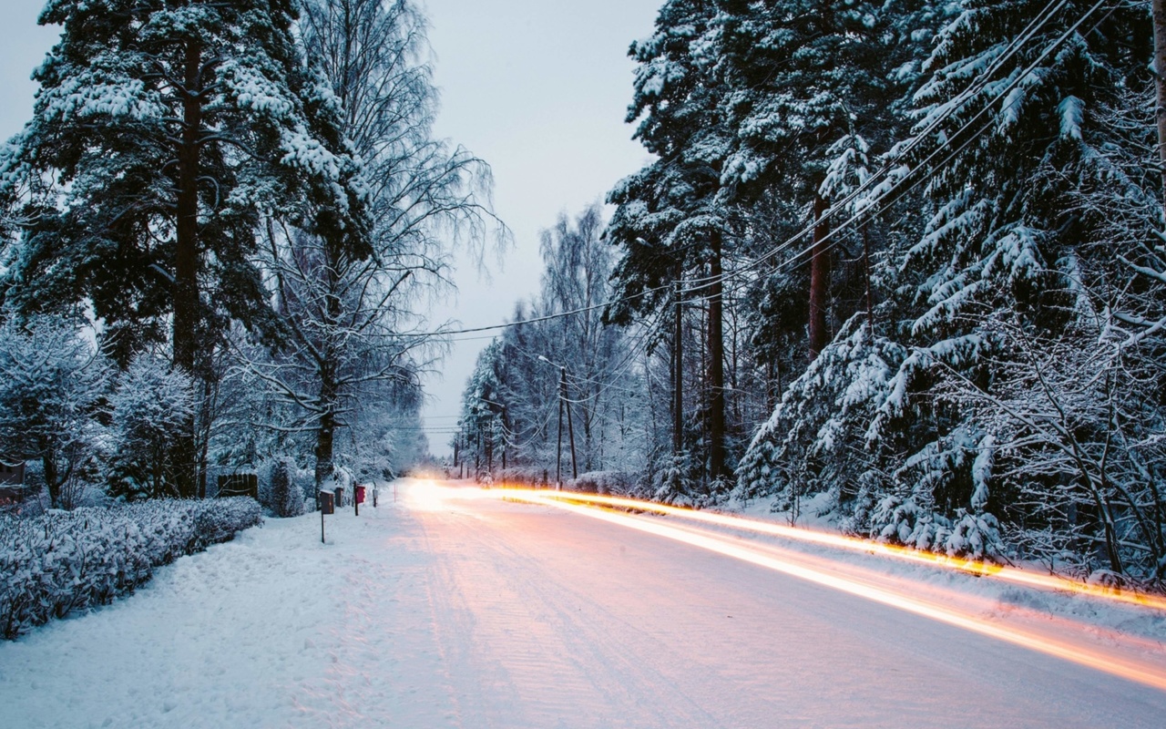 Snowy forest road wallpaper 1280x800