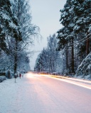 Обои Snowy forest road 128x160