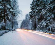 Snowy forest road wallpaper 176x144