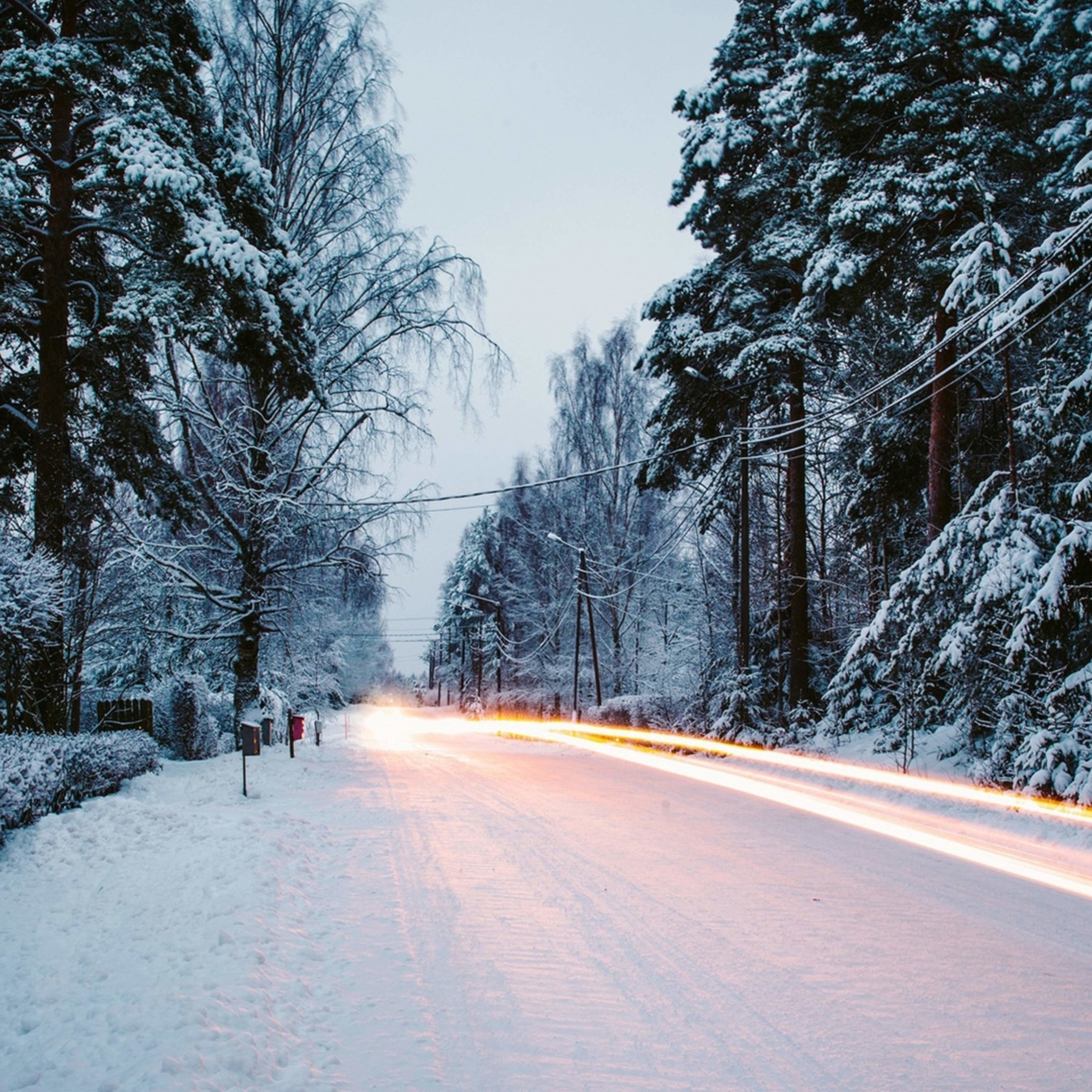Snowy forest road wallpaper 2048x2048