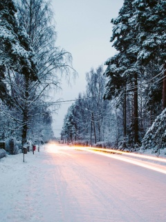 Snowy forest road wallpaper 240x320