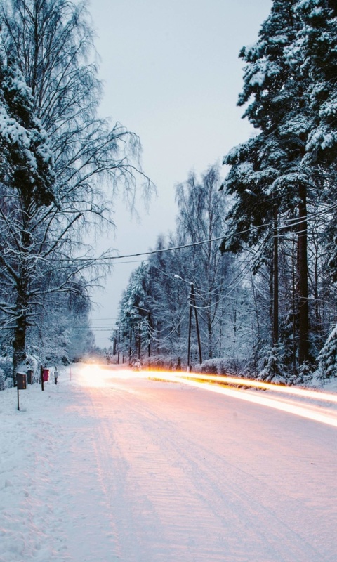 Snowy forest road wallpaper 480x800