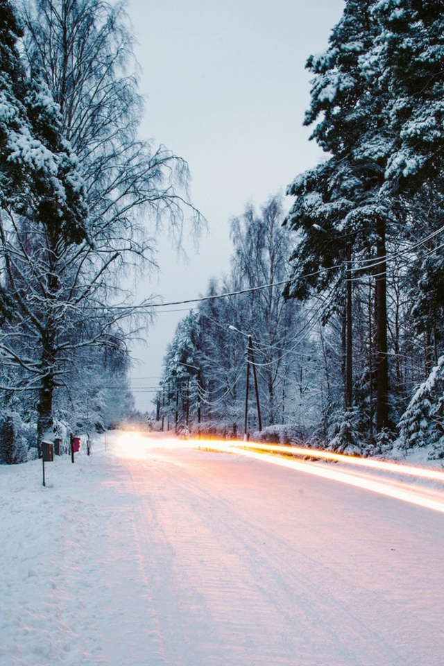Snowy forest road screenshot #1 640x960
