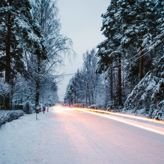 Kostenloses Snowy forest road Wallpaper für 1024x1024