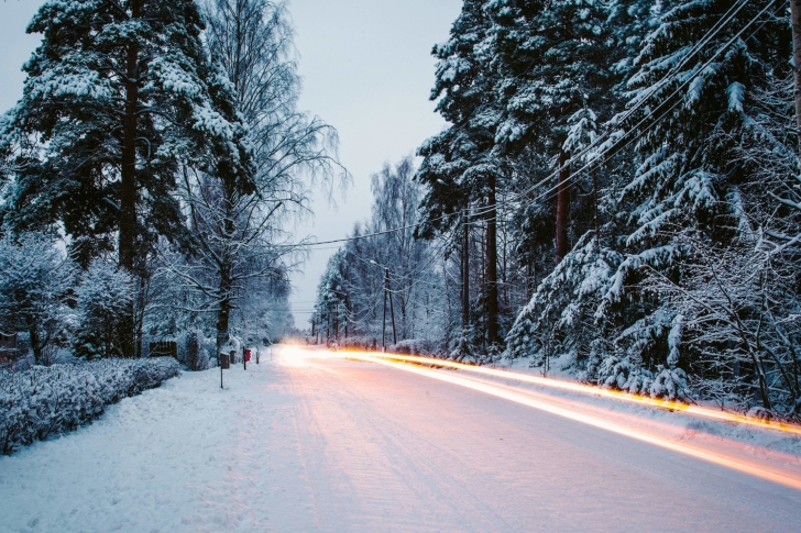 Snowy forest road wallpaper
