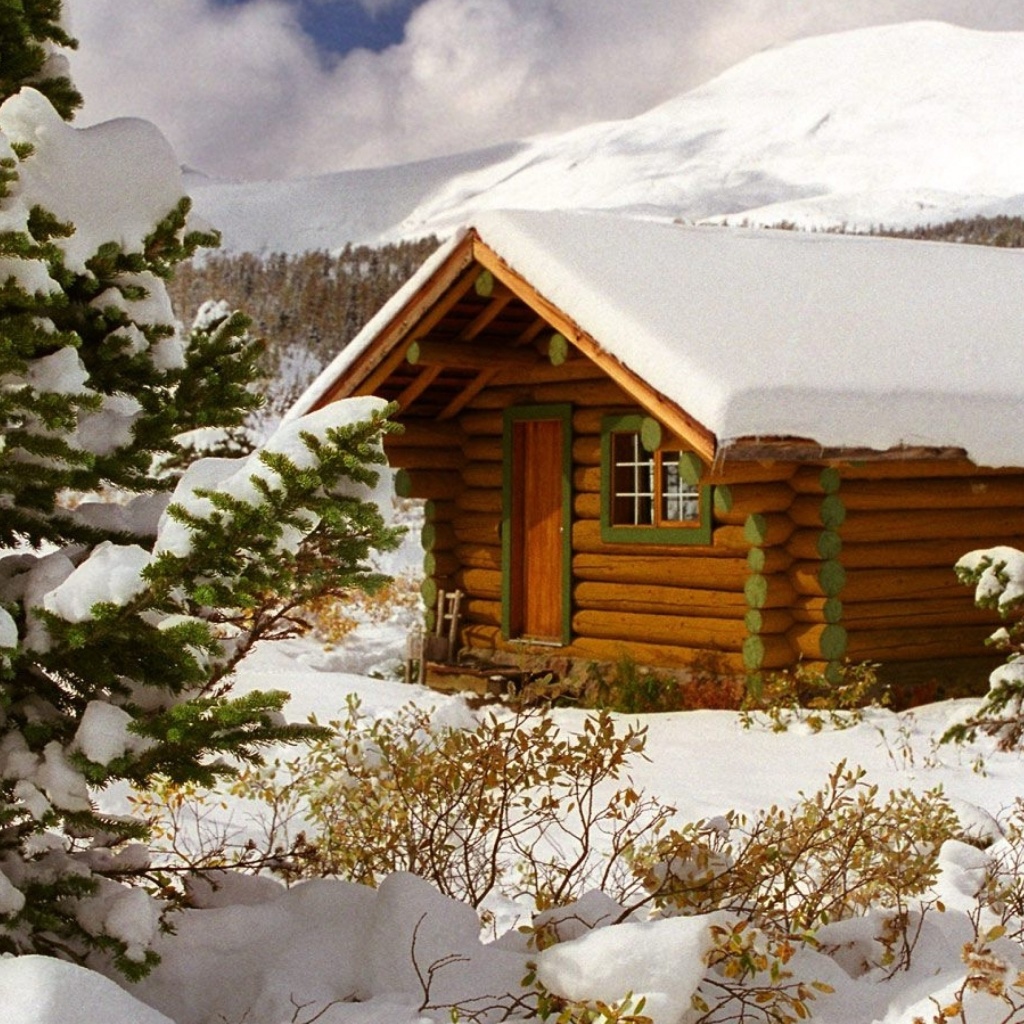 Cozy winter house screenshot #1 1024x1024
