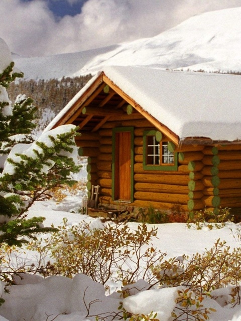 Cozy winter house wallpaper 480x640